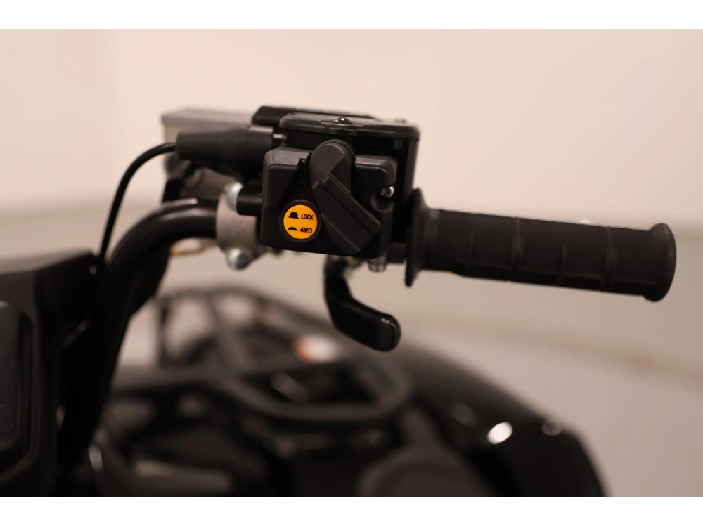 2025 Yamaha Grizzly Eps Se alt