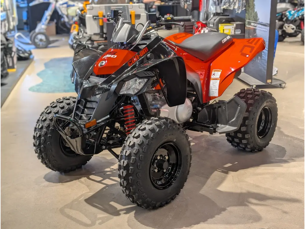 2025 Can-Am DS 250