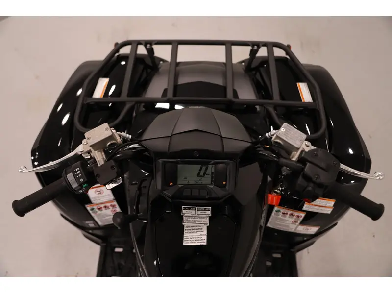2025 Yamaha GRIZZLY EPS SE