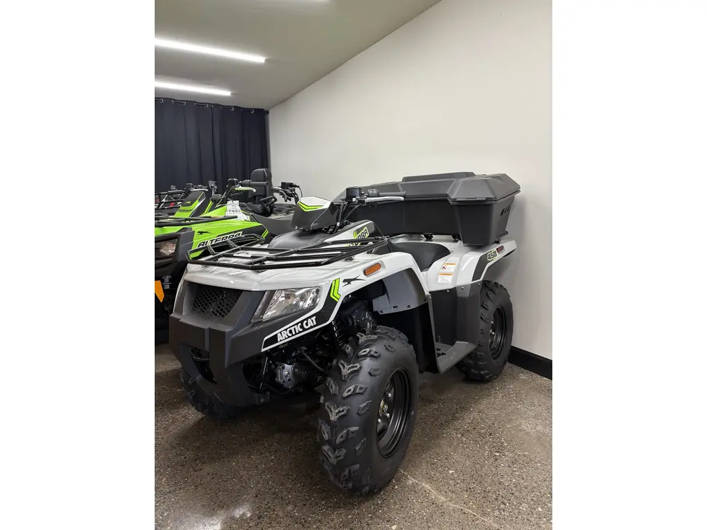 Arctic Cat Alterra 450  2024