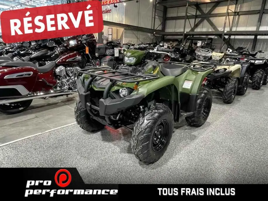 2025 Yamaha Kodiak 450 DAE 