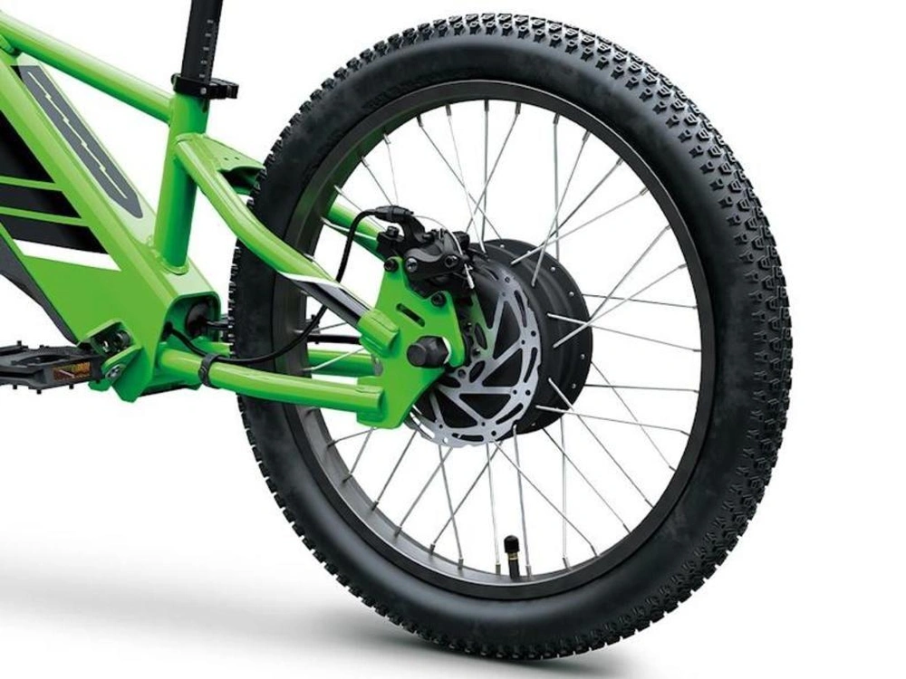 2025 Kawasaki Elektrode 20 alt