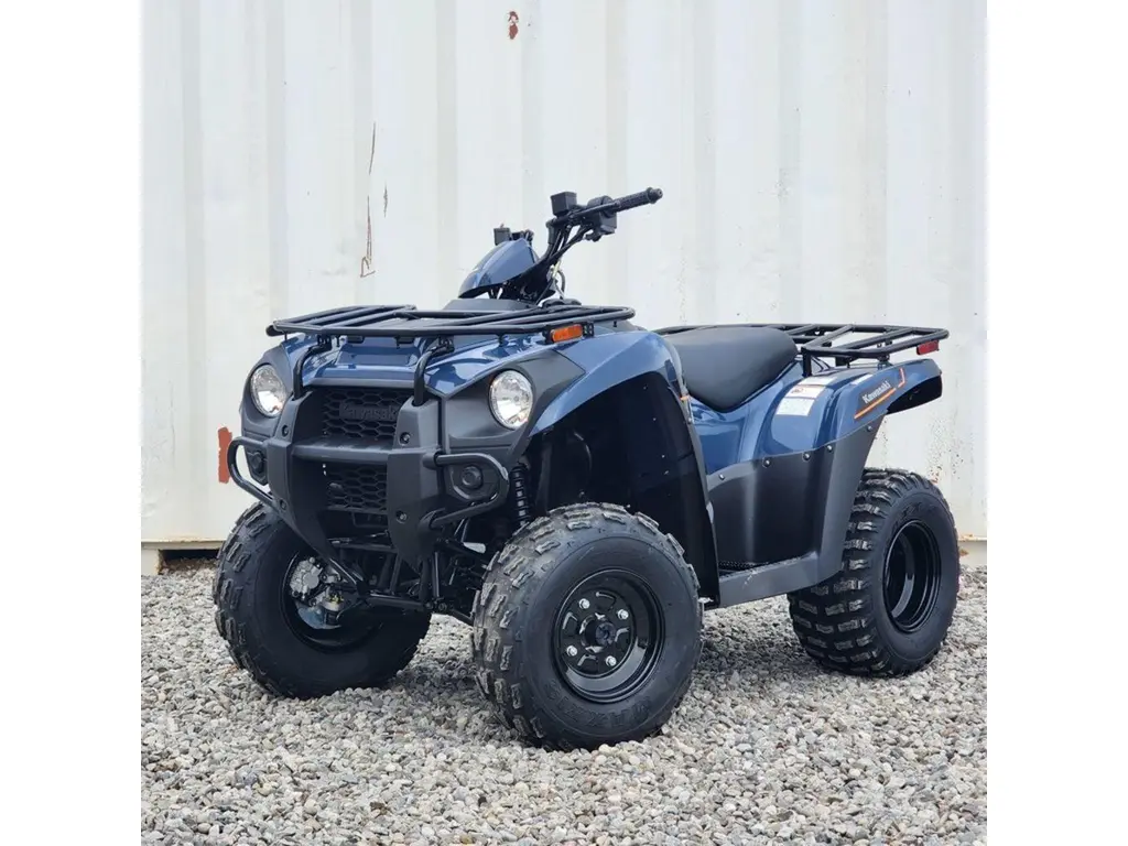2025 Kawasaki Brute Force 300