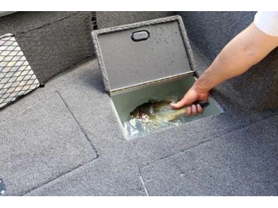 2025 Lund Boat Co 2075 Impact Xs alt