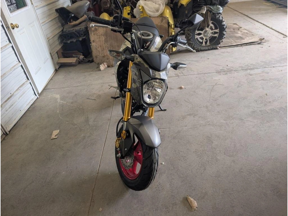 2025 Kawasaki Z125 Pro alt