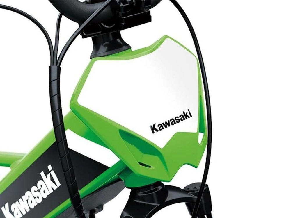 2025 Kawasaki Elektrode 20 alt