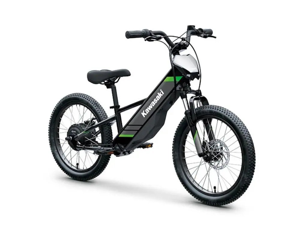 2025 Kawasaki Elektrode 20 