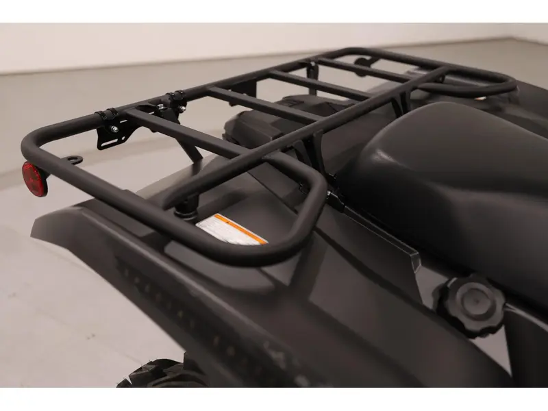 2025 Yamaha GRIZZLY EPS SE