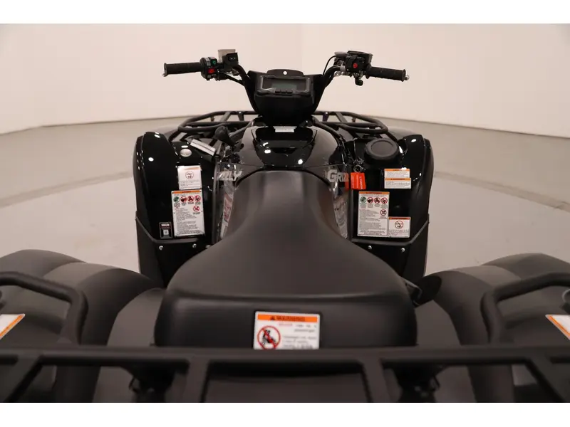 2025 Yamaha GRIZZLY EPS