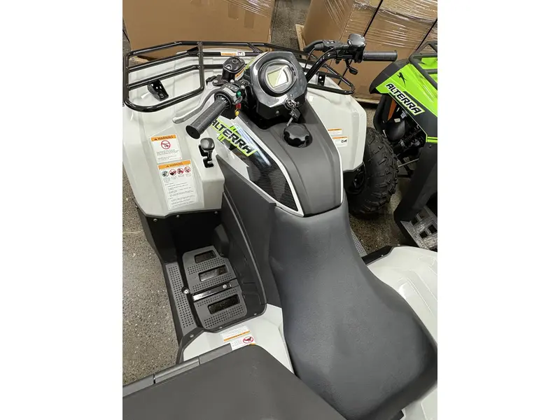 2024 Arctic Cat Alterra 450