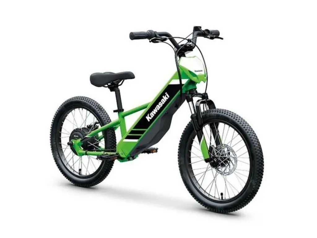 2025 Kawasaki Elektrode 20