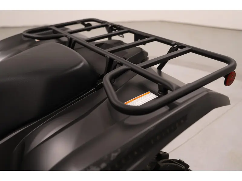2025 Yamaha GRIZZLY EPS SE