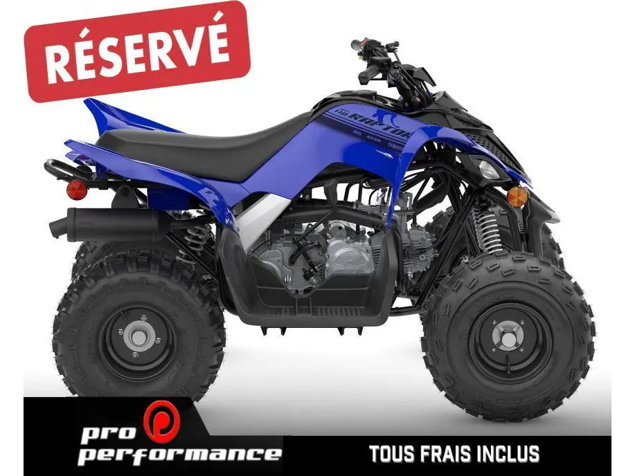 2025 Yamaha Raptor 110