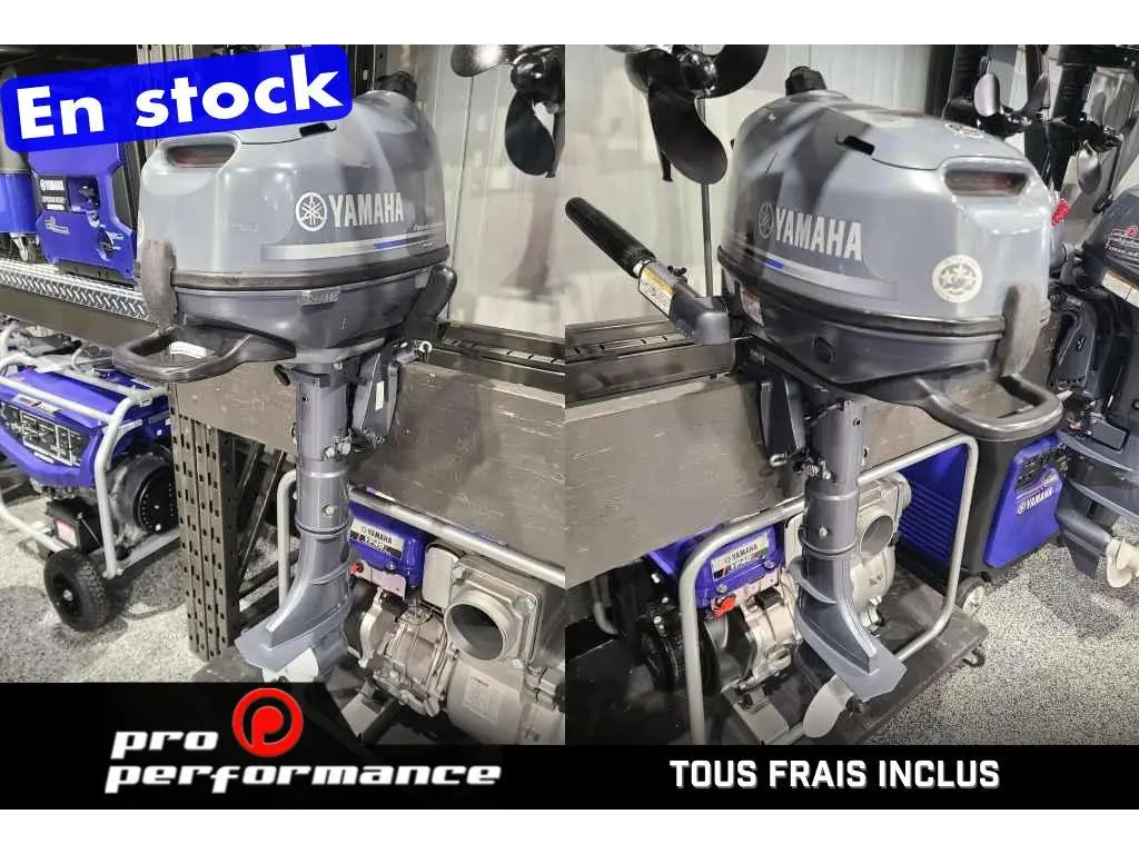2015 Yamaha MOTEUR 6 HP COURT