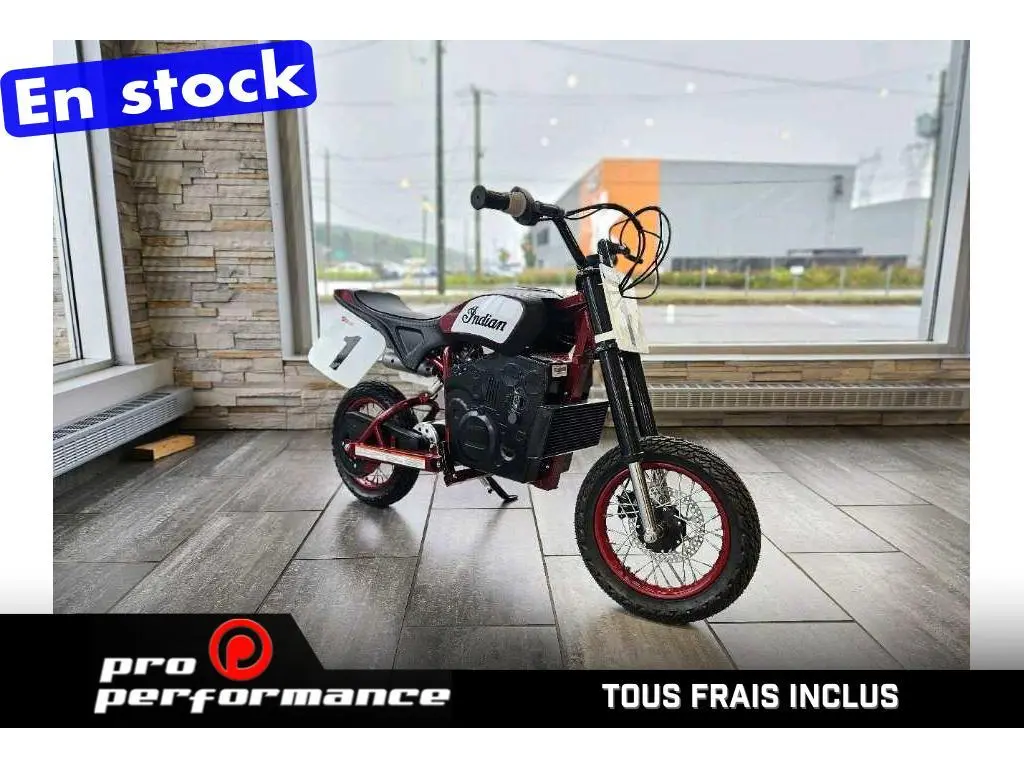 Indian Motorcycle E-FTR JR  2024