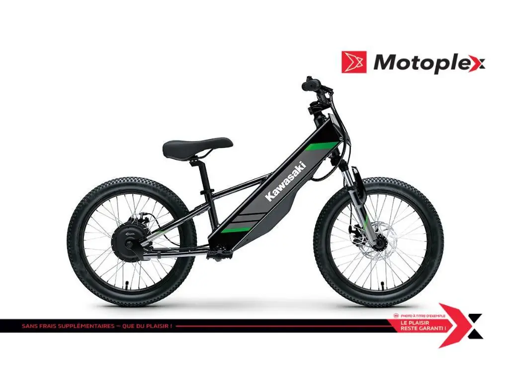 2025 Kawasaki ELEKTRODE 20