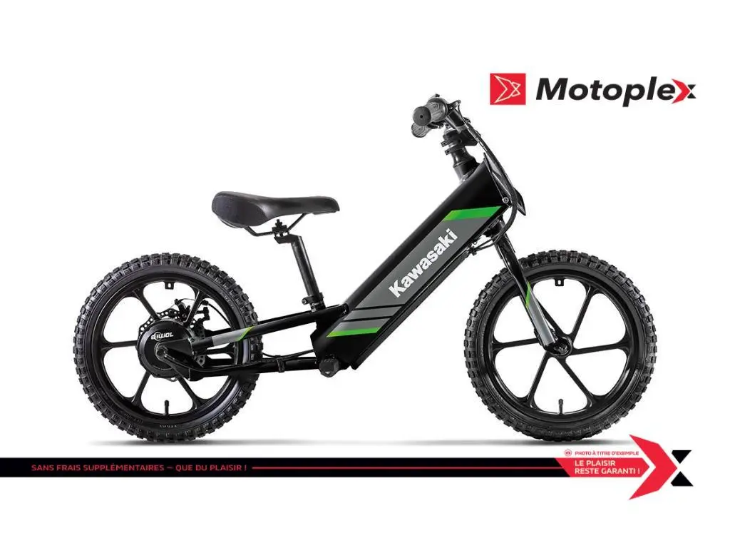 2025 Kawasaki ELEKTRODE 16