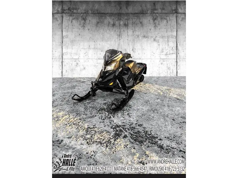 Ski-Doo RENEGADE ADRENALINE 600 ETEC  2017