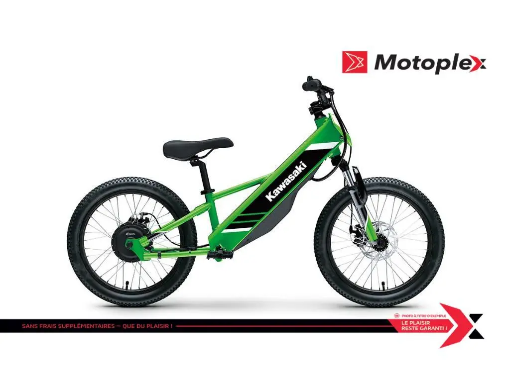 2025 Kawasaki ELEKTRODE 20