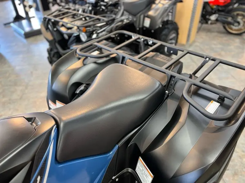 2025 Yamaha Grizzly DAE SE