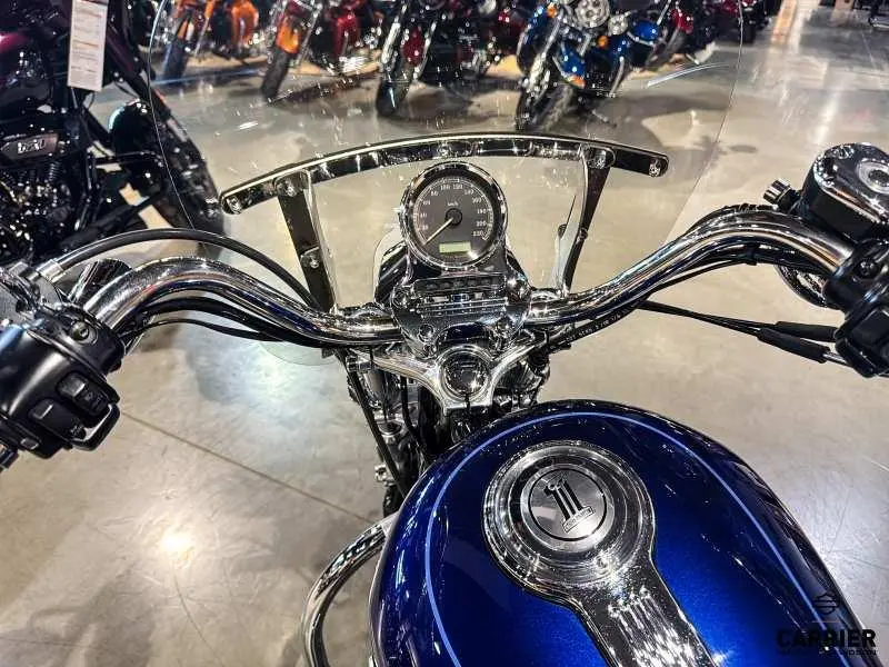 2007 Harley-Davidson Moto Harley-Davidson Sportster 1200 Low 2007