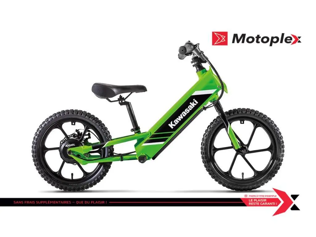 2025 Kawasaki ELEKTRODE 16