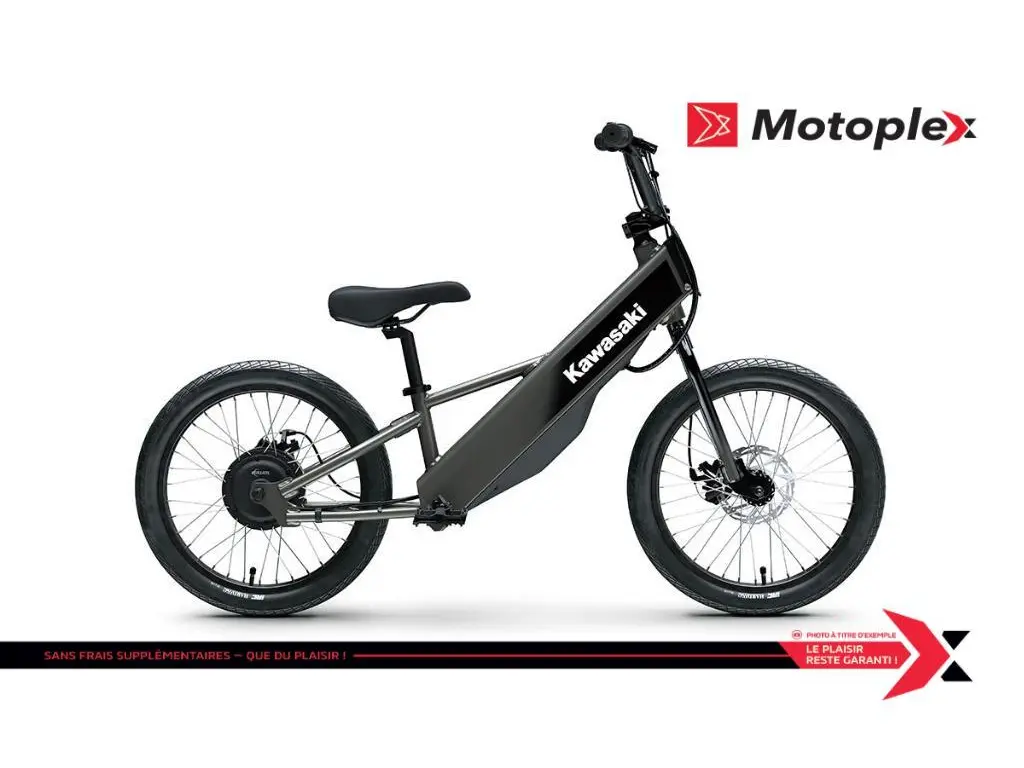 2025 Kawasaki ELEKTRODE 20FS