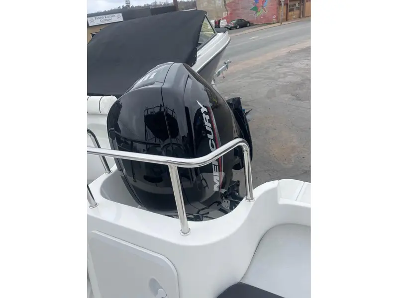 Atomix 600SC + 115 XL ELPT 4S Merc & galvanized trailer 2024