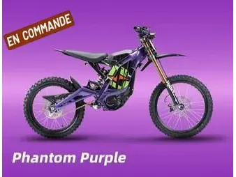 2025 Surron Light Bee X