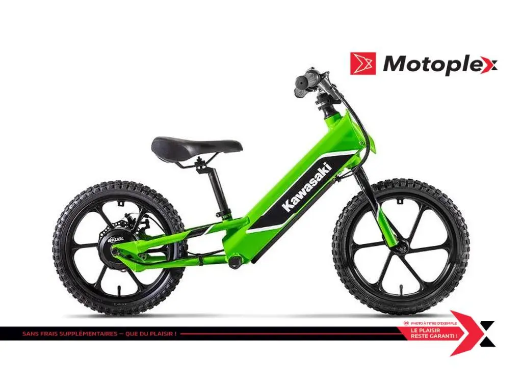 2024 Kawasaki ELEKTRODE