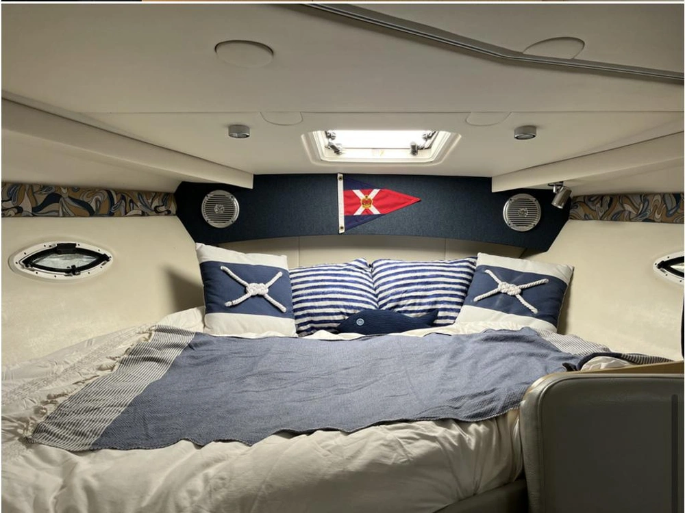 2011 Bayliner 315 Sb alt