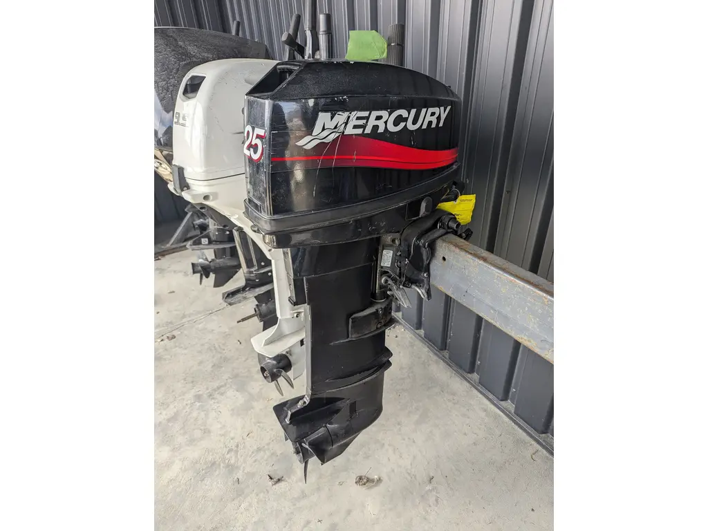 2002 Mercury 25LHM