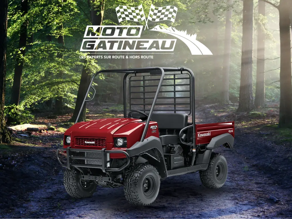 2025 Kawasaki MULE 4010 4X4