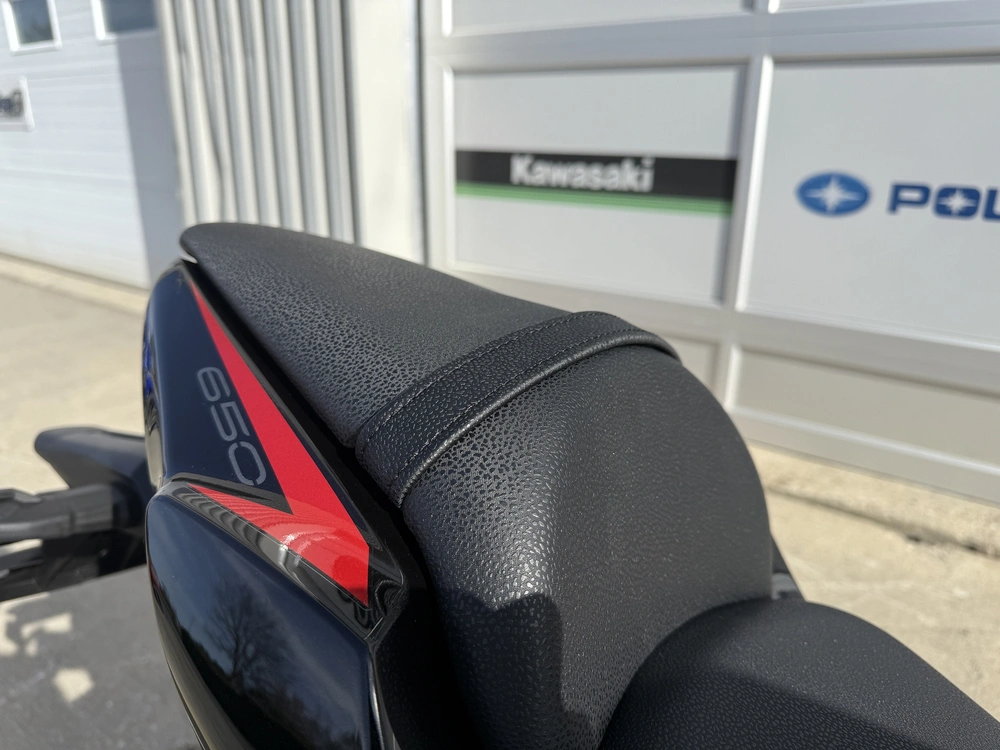 Kawasaki Z650 Abs 2025 alt