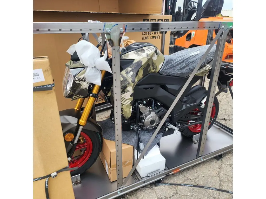 2025 Kawasaki Z125 Pro 