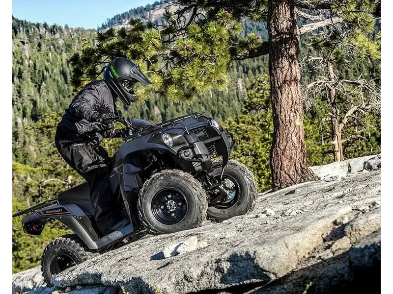 2025 Kawasaki Brute Force 300