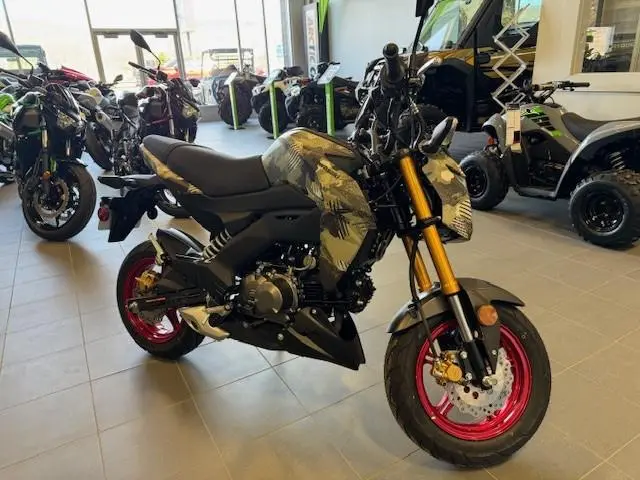 2025 Kawasaki Z 125 PRO