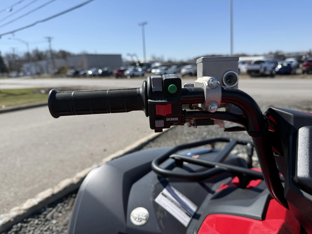 Yamaha Grizzly 700 Eps Démo 🪝winch Warn Vrx Incluse 2025 alt