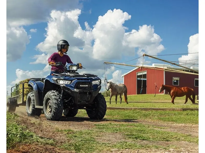 2025 Kawasaki BRUTE FORCE 450
