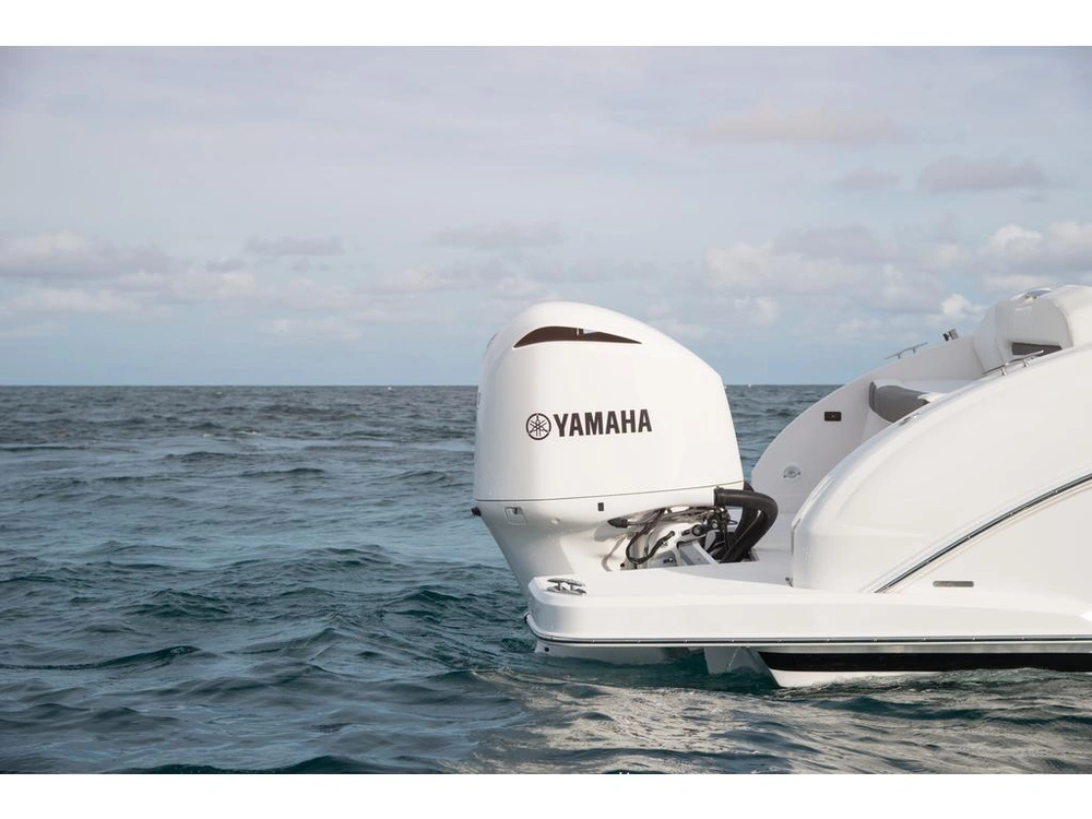 Regal 33 Obx 2026 alt