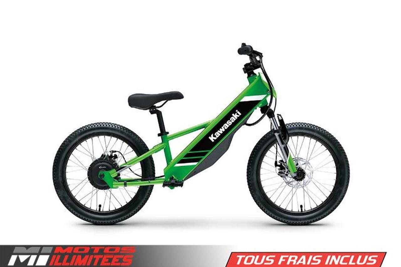 2025 Kawasaki ELEKTRODE 20