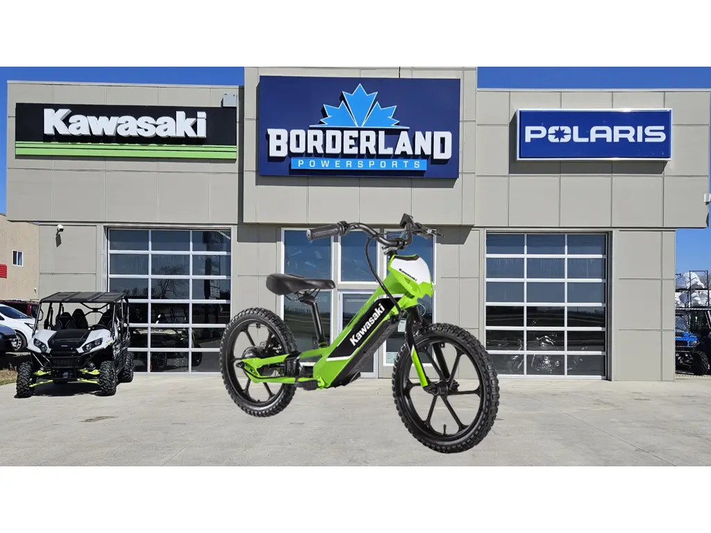 2024 Kawasaki ELEKTRODE 