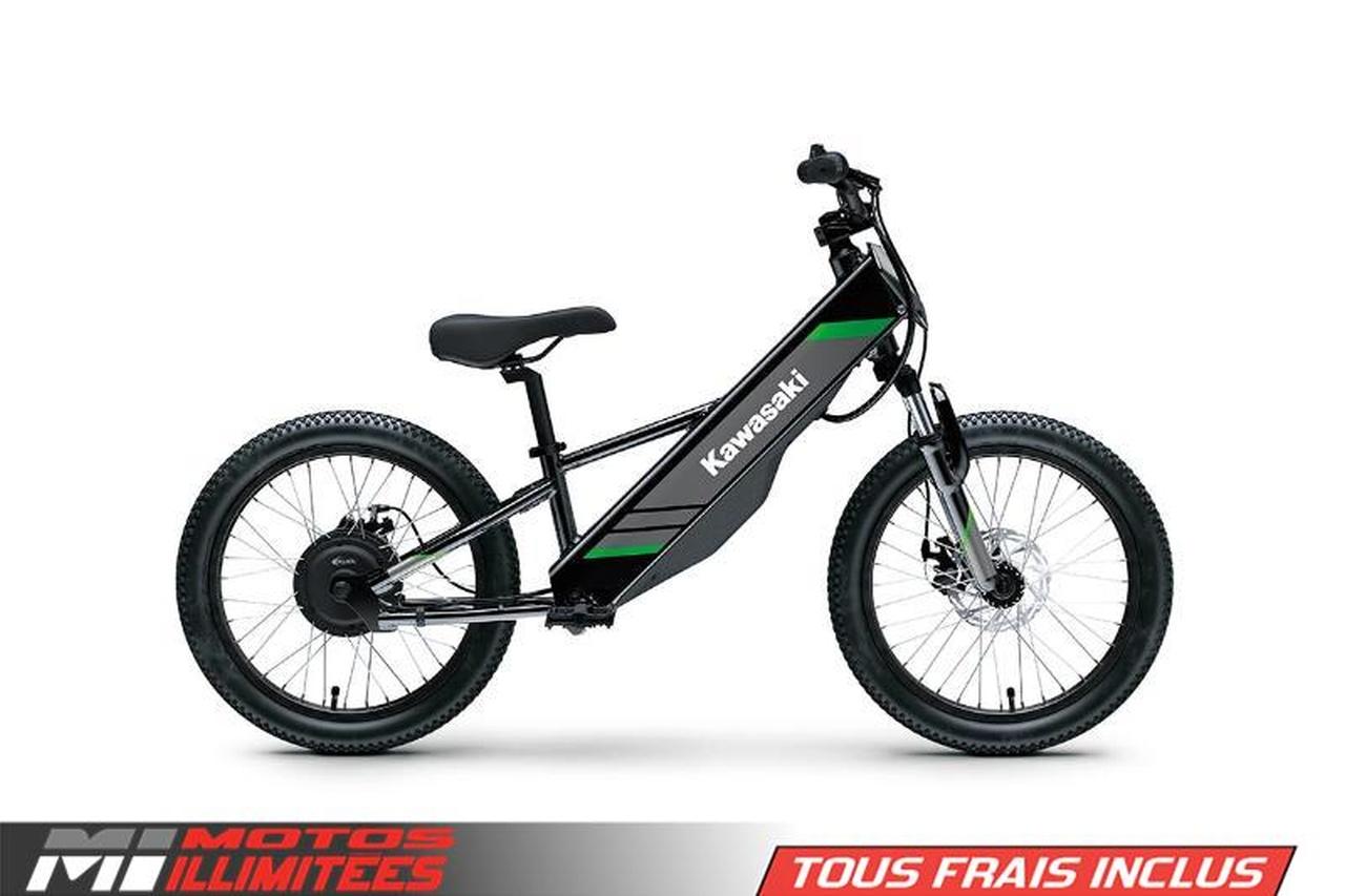 2025 Kawasaki Elektrode 20