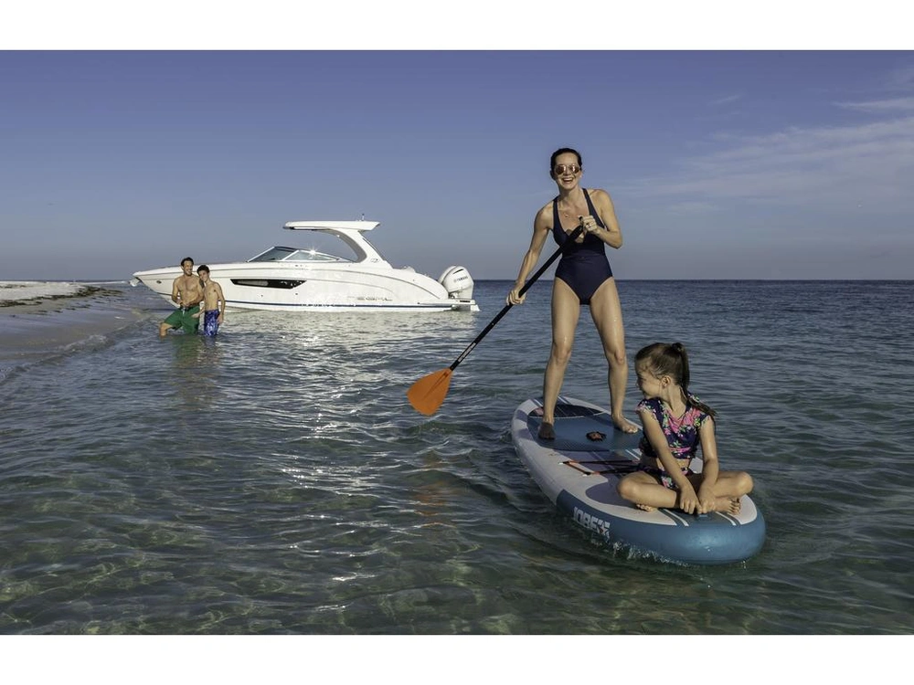 Regal 33 Obx 2026 alt