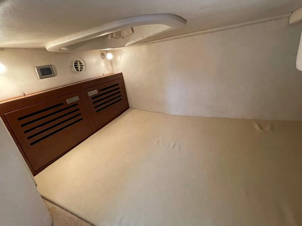 Sea Ray 310 Sundancer 2010 alt