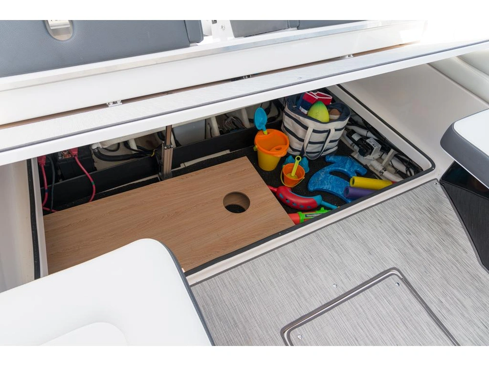 Regal 29 Obx 2026 alt
