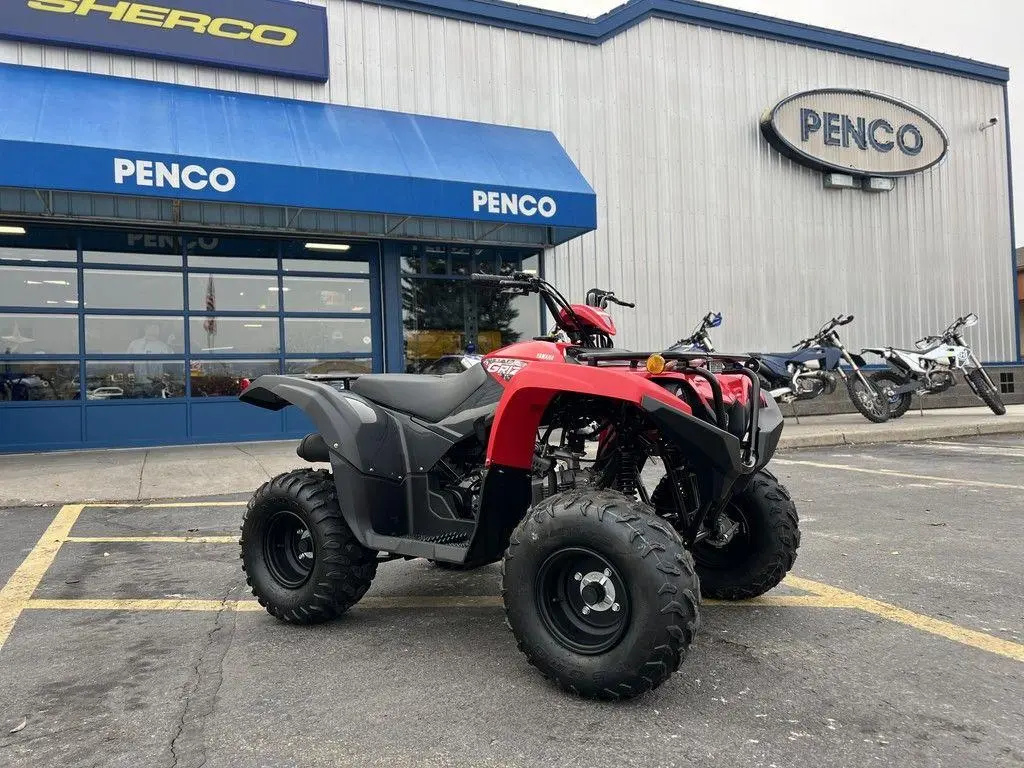 2025 Yamaha Grizzly 110