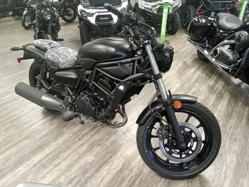 2025 Kawasaki ELIMINATOR