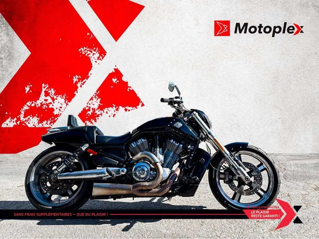 2014 Harley-Davidson VROD MUSCLE VRSCF