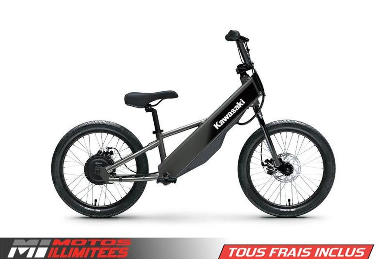 2025 Kawasaki Elektrode 20FS